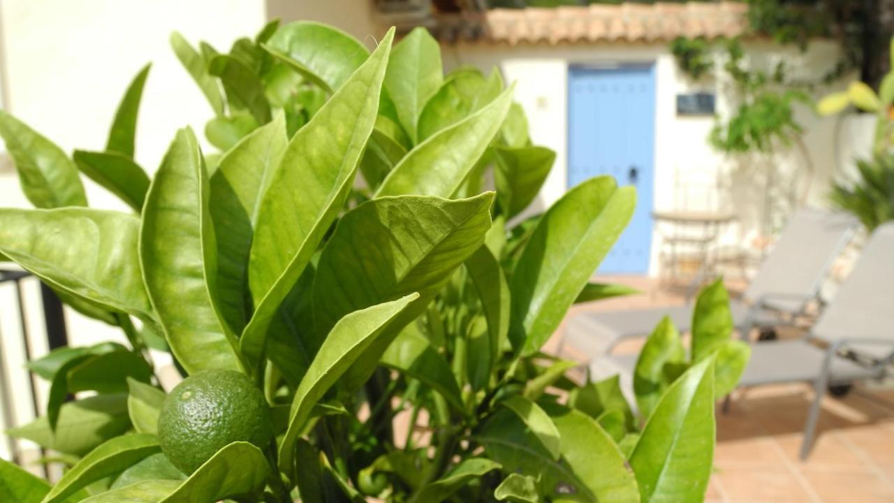 Casa Romero Lliber Luaran gambar